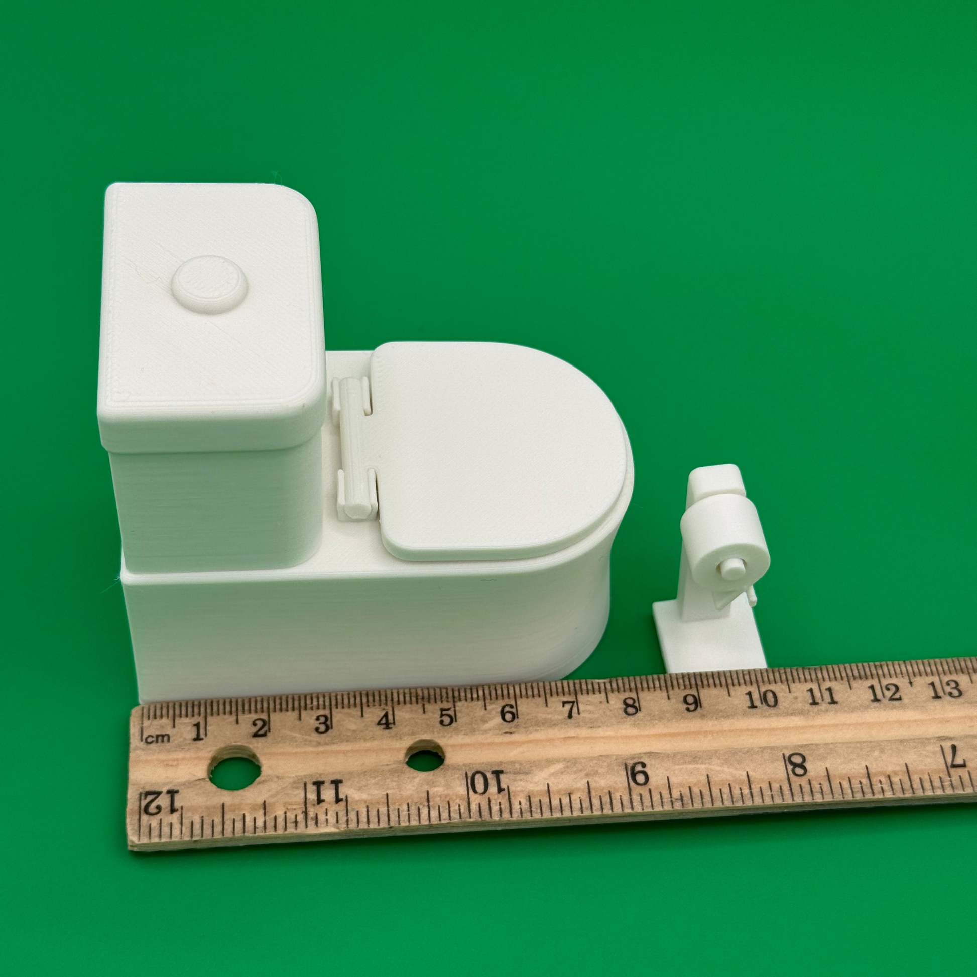 Toilet with ruler for scale